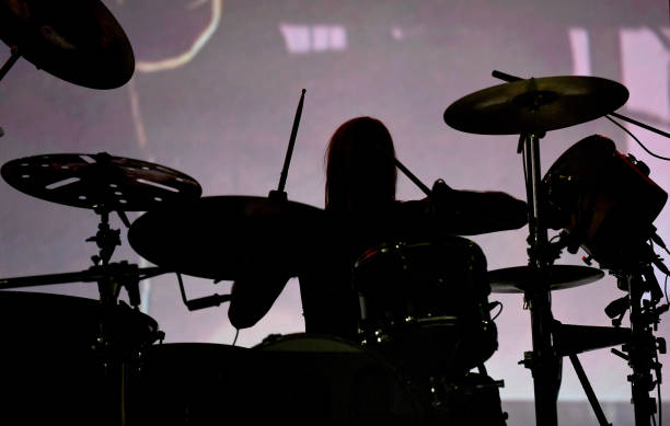 The Physics of Drumming